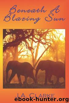 Beneath A Blazing Sun by J.A. Clarke