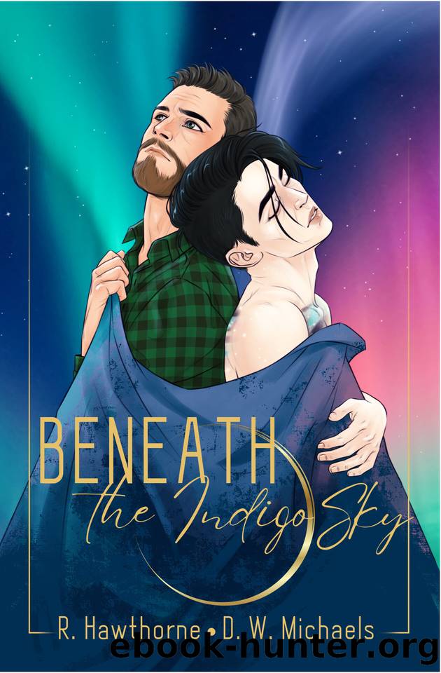 Beneath the Indigo Sky (Unexpected Love Book 1) by Rayne Hawthorne & D. W. Michaels