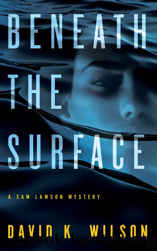Beneath the Surface by David K Wilson