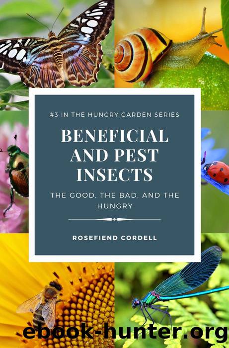 Beneficial and Pest Insects by Rosefiend Cordell