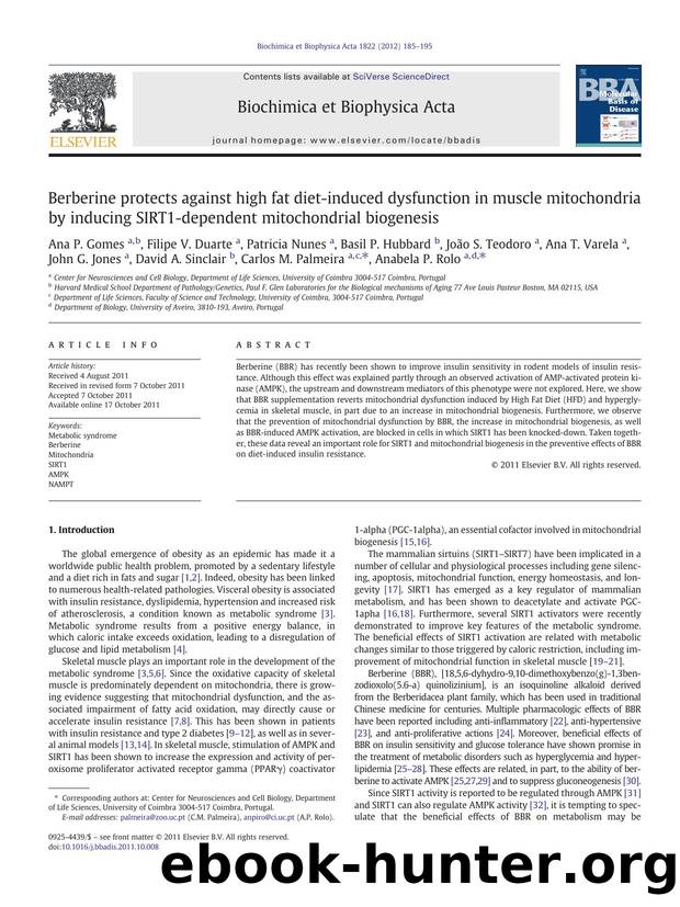 Berberine protects against high fat diet-induced dysfunction in muscle mitochondria by inducing SIRT1-dependent mitochondrial biogenesis by unknow