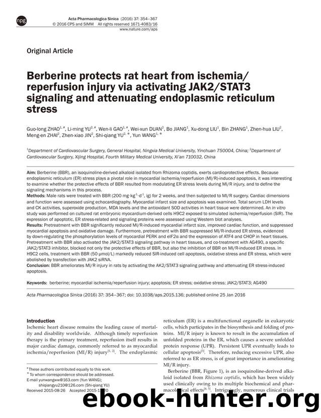 Berberine protects rat heart from ischemiareperfusion injury via activating JAK2STAT3 signaling and attenuating endoplasmic reticulum stress by unknow