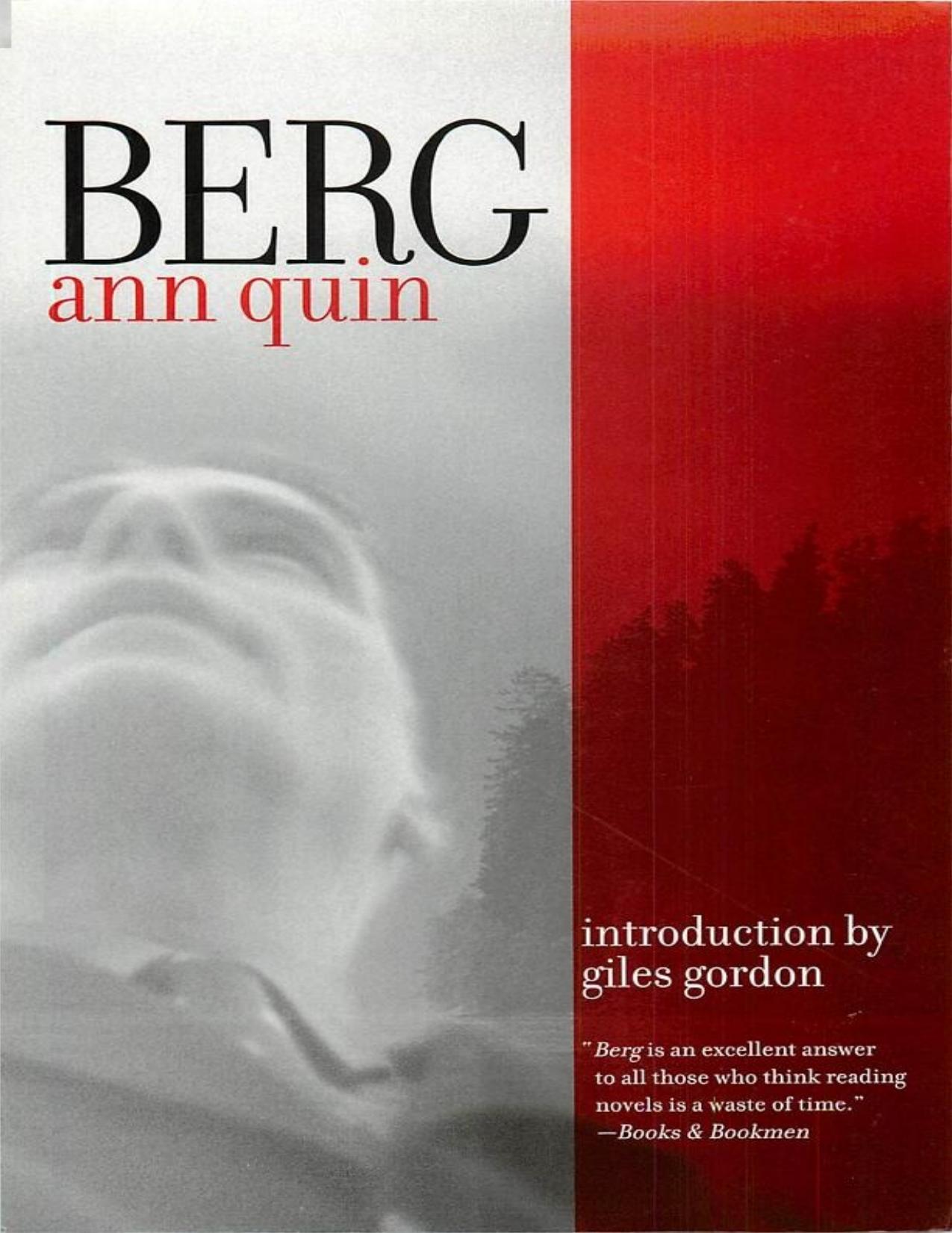 Berg by Ann Quin