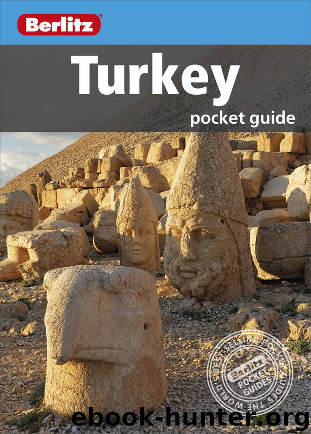 Berlitz: Turkey Pocket Guide by Berlitz Travel