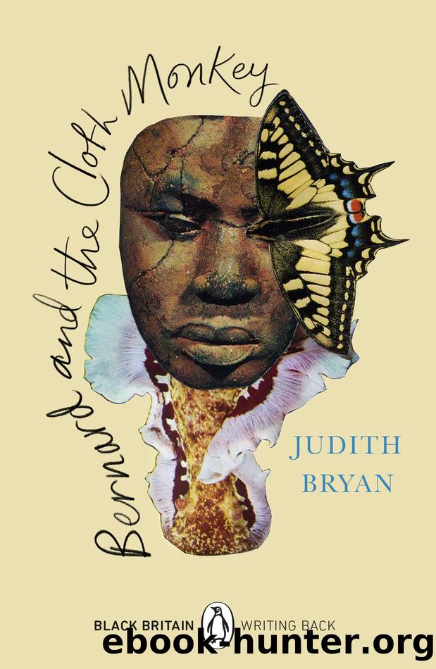 Bernard and the Cloth Monkey by Judith Bryan
