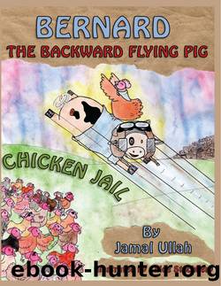 Bernard the Backward-flying Pig in 'Chicken Jail' by Jamal Ullah