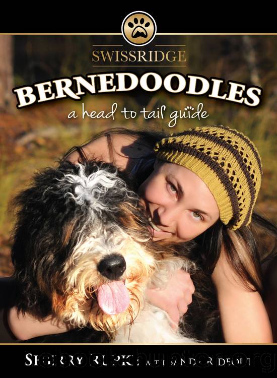 Bernedoodles by Sherry Rupke