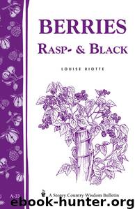 Berries, Rasp & Black by Louise Riotte