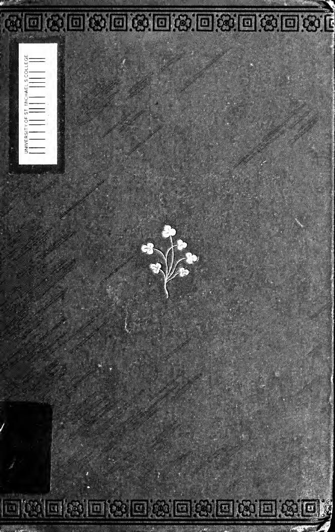 Beside the fire. A collection of Irish folk stories by Unknown