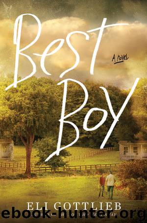 Best Boy by Eli Gottlieb