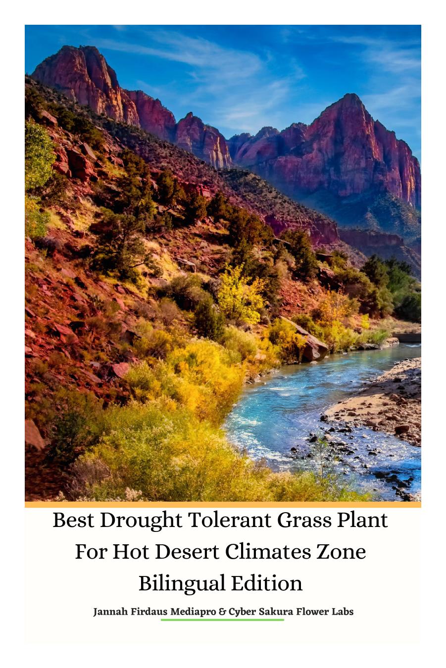 Best Drought Tolerant Grass Plant For Hot Desert Climates Zone Bilingual Edition by Jannah Firdaus Mediapro Cyber Sakura Flower Labs