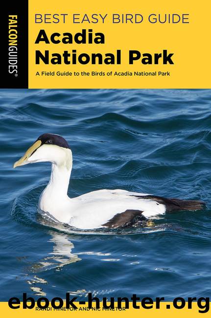 Best Easy Bird Guide Acadia National Park by Randi Minetor