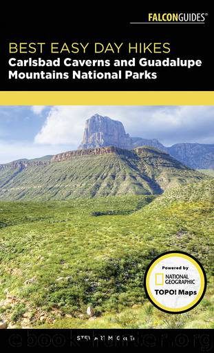 Best Easy Day Hikes Carlsbad Caverns and Guadalupe Mountains National Parks by Stewart M. Green