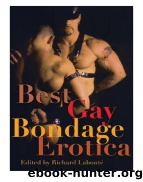 Best Gay Bondage Erotica by Richard Labonte