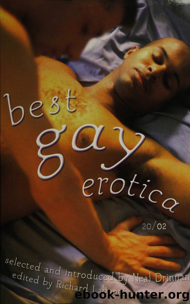 Best Gay Erotica 2002 by Richard Labonte