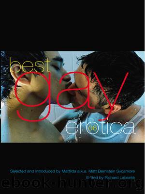 Best Gay Erotica 2006 by Richard Labonte