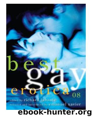 Best Gay Erotica 2008 by Richard Labonté