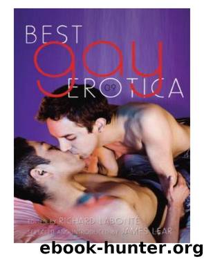 Best Gay Erotica 2009 by Richard Labonté
