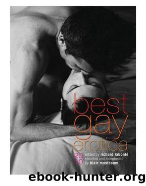 Best Gay Erotica 2010 by Richard Labonte