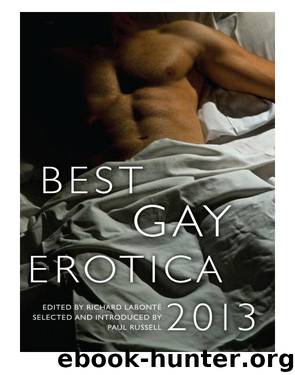 Best Gay Erotica 2013 by Richard Labonté