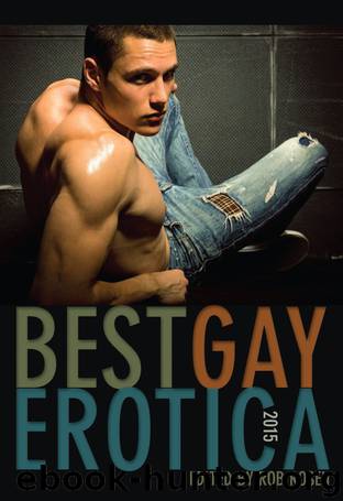Best Gay Erotica 2015 by Rob Rosen