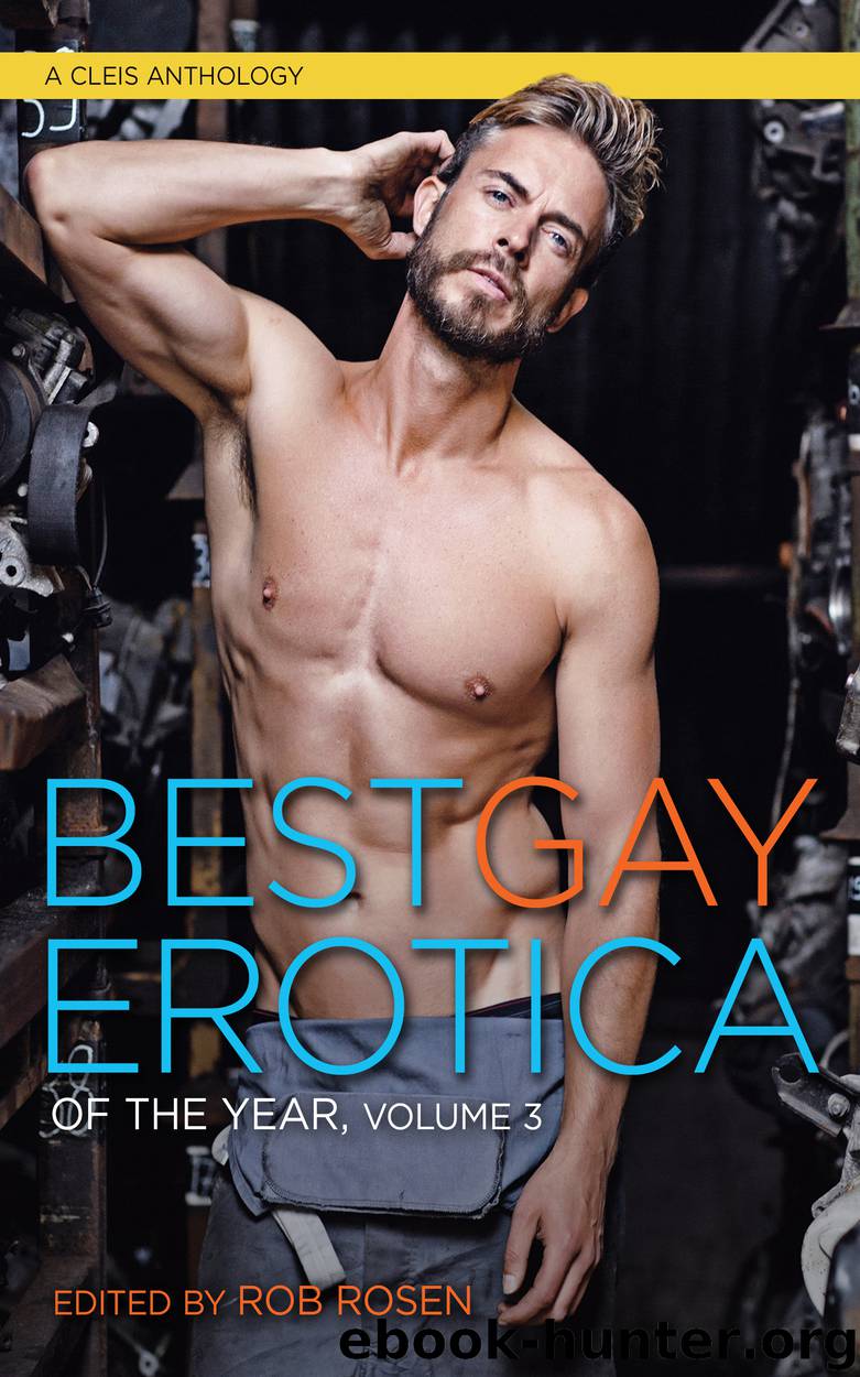 Best Gay Erotica of the Year, Volume 3 by Rob Rosen