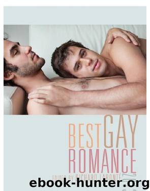 Best Gay Romance 2013 by Richard Labonte