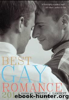 Best Gay Romance 2014 by R.D. Cochrane