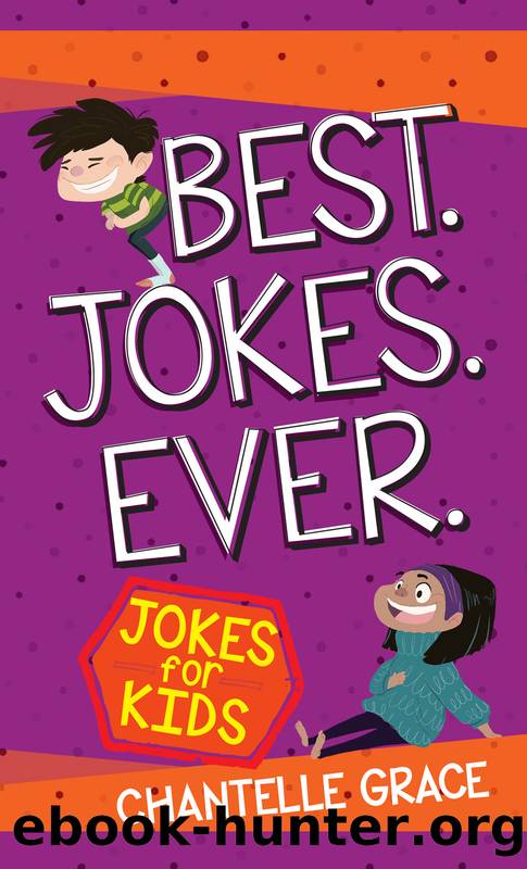 Best Jokes Ever by Chantelle Grace