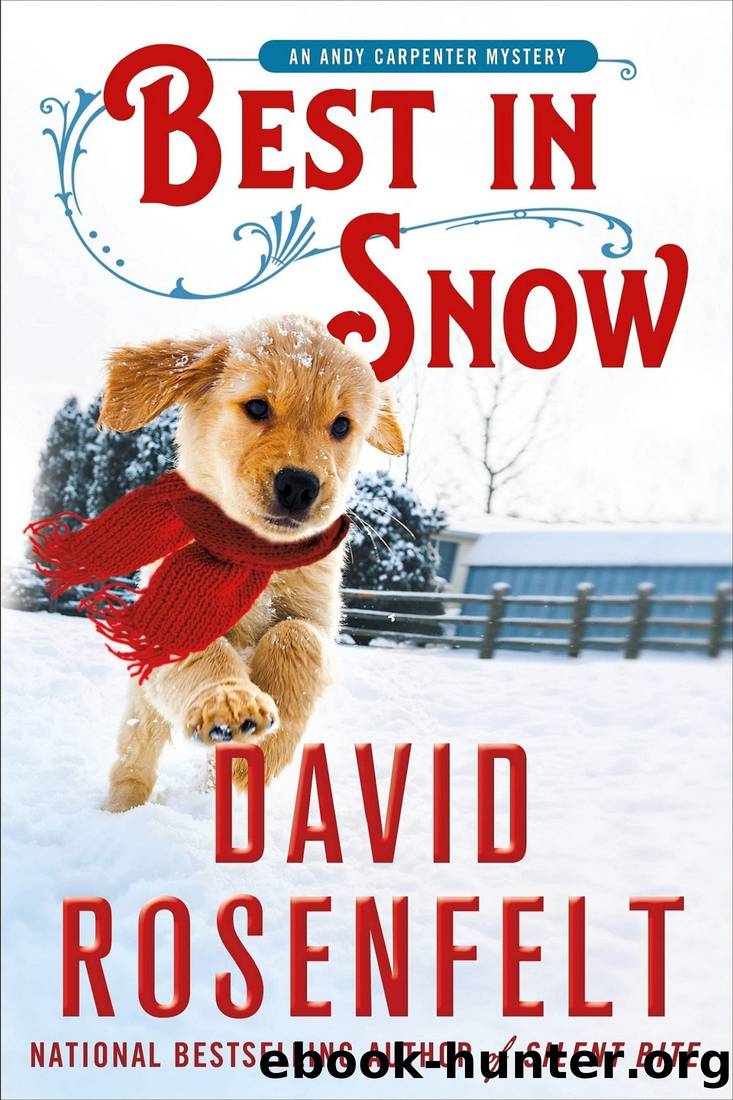 Best in Snow by David Rosenfelt