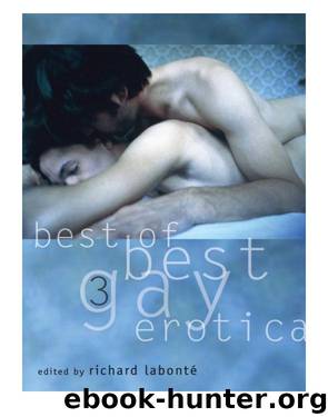 Best of Best Gay Erotica 3 by Richard Labonté