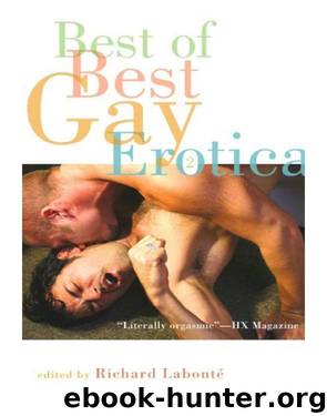 Best of the Best Gay Erotica by Richard Labonté