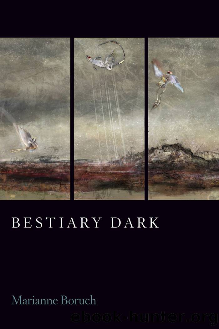 Bestiary Dark by Marianne Boruch