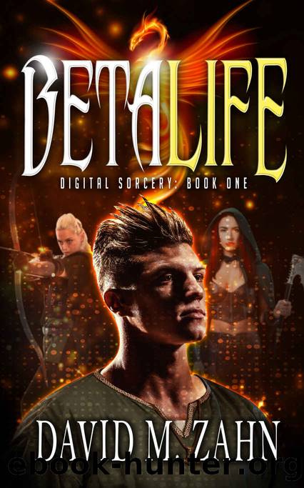 Beta Life: Digital Sorcery Book 1 (A Litrpg Series) by David M. Zahn