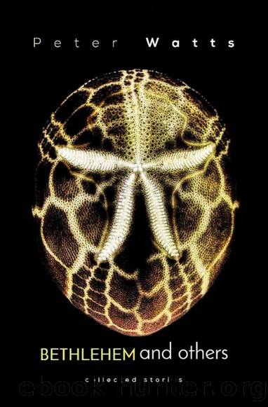 Bethlehem and Others by Peter Watts