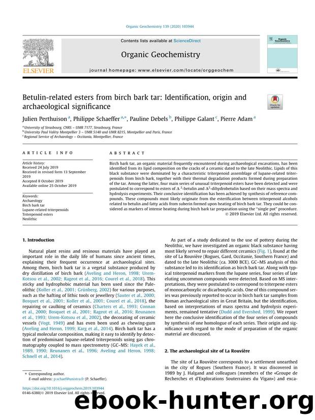 Betulin-related esters from birch bark tar: Identification, origin and archaeological significance by Julien Perthuison & Philippe Schaeffer & Pauline Debels & Philippe Galant & Pierre Adam