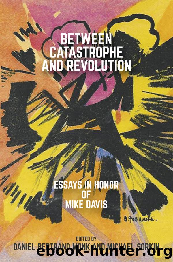 Between Catastrophe and Revolution by Daniel Bertrand Monk