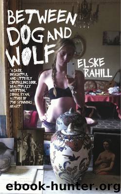 Between Dog and Wolf by Sokolov Sasha; Boguslawski Alexander;