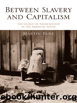 Between Slavery and Capitalism by Ruef Martin;