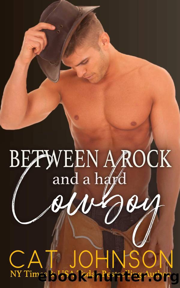 Between a Rock and a Hard Cowboy by Cat Johnson