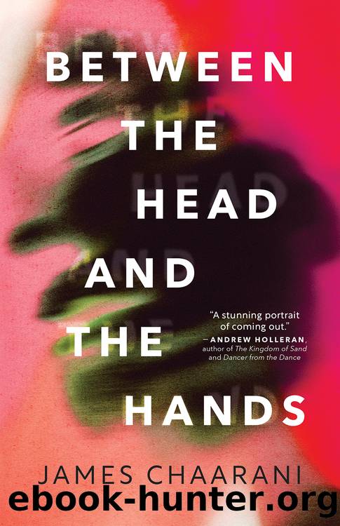 Between the Head and the Hands by James Chaarani