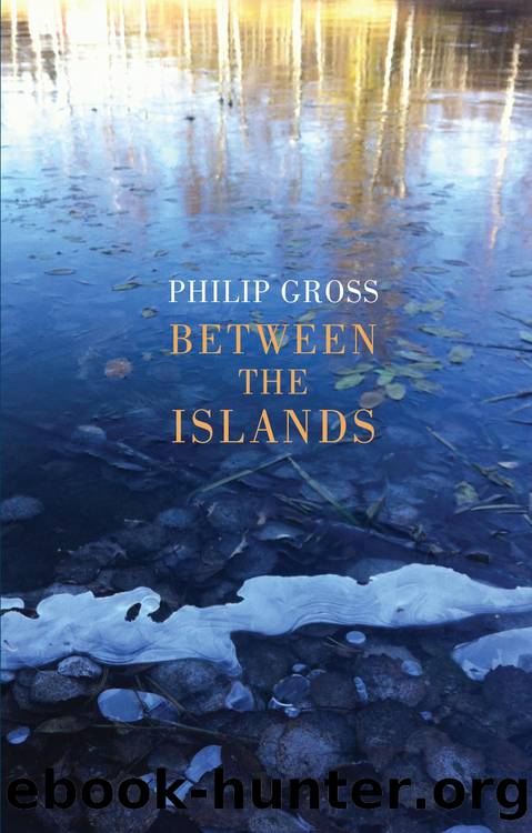 Between the Islands by Philip Gross