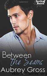 Between the Seams (Devils Ranch Book 1) by Aubrey Gross
