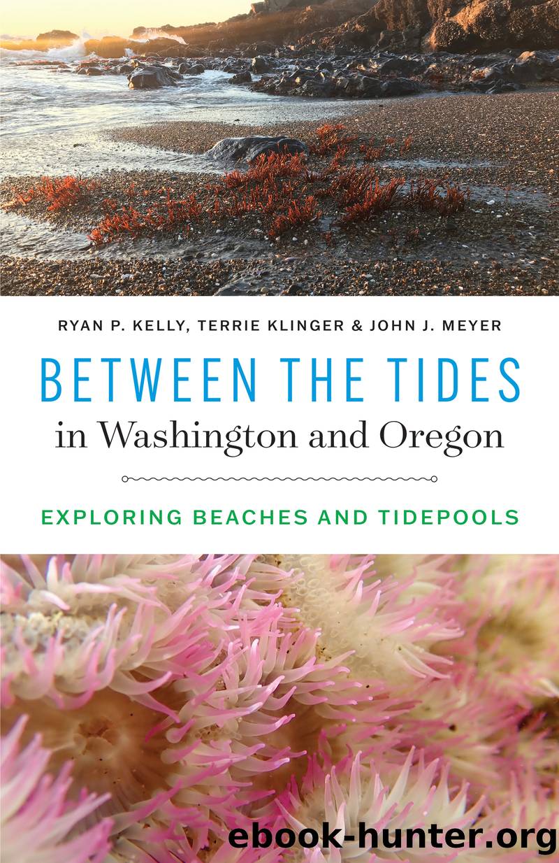 Between the Tides in Washington and Oregon by Ryan P. Kelly