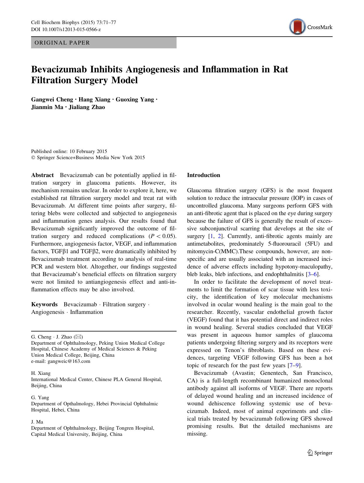Bevacizumab Inhibits Angiogenesis and Inflammation in Rat Filtration Surgery Model by Gangwei Cheng & Hang Xiang & Guoxing Yang & Jianmin Ma & Jialiang Zhao