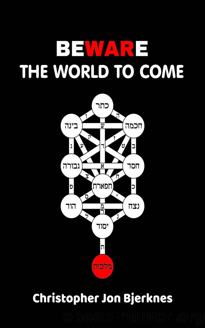 Beware the World to Come by Christopher Bjerknes