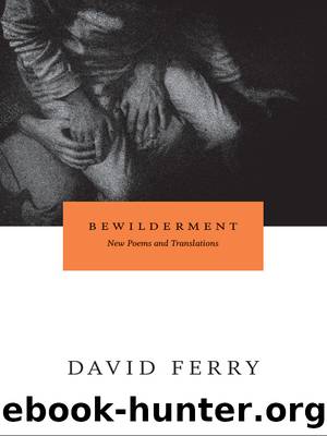Bewilderment: New Poems and Translations by David Ferry
