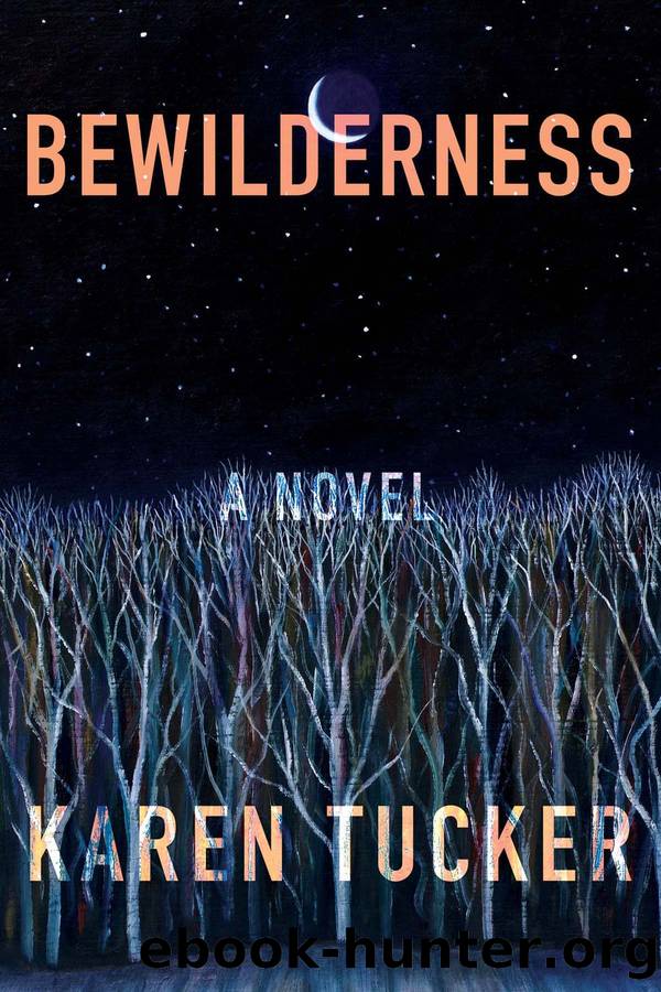 Bewilderness by Karen Tucker