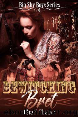 Bewitching Bret by Cheri Chaise