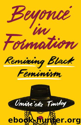 Beyoncé in Formation by Omise'eke Tinsley